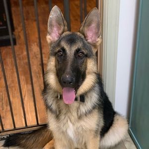 Meet your Posher, Kaleah